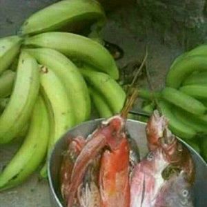 Meet your Posher, Frederic